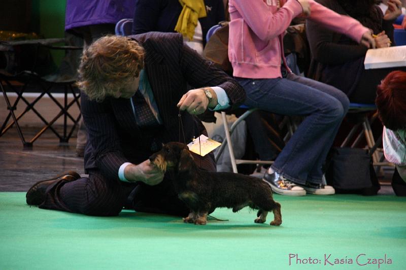 Crufts2011_2 542.jpg